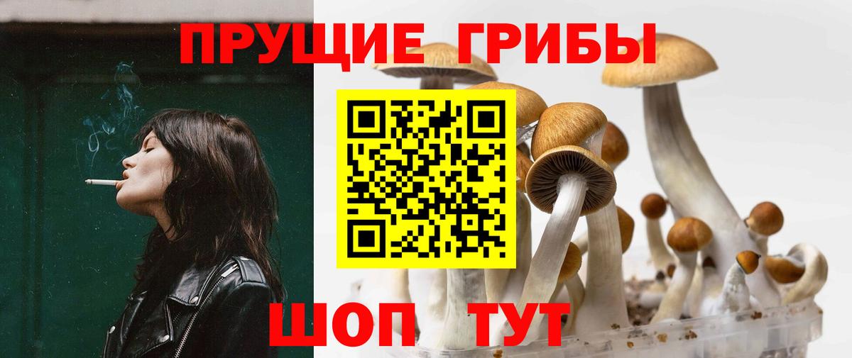 Кировск  Псилоцибиновые грибы Magic Shrooms  Вход с VPN  купить наркотики цена  Галлюциногенные грибы мицелий 
