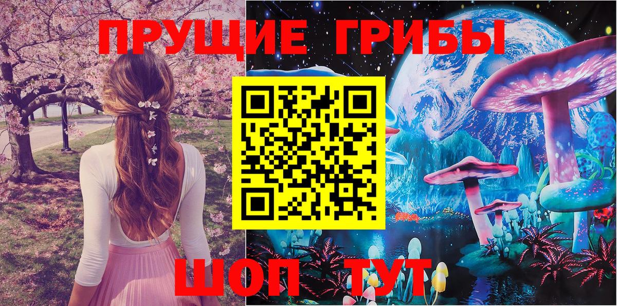 Галлюциногенные грибы прущие грибы Кировск